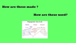 Phylogenetic trees and cladograms [upl. by Martyn]