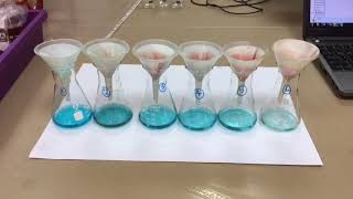 A level Required Practical 11  a serial dilution calibration curve [upl. by Akenahs]