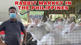 RABBIT MARKET IN THE PHILIPPINES PAANO NGA BA KIKITA  Negosyo Philippines [upl. by Lerrad]