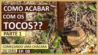 Como Acabar com os Tocos ou Rebrotas de Eucalipto PARTE 1  Chácara do Zero EP 08 [upl. by Nadabus]