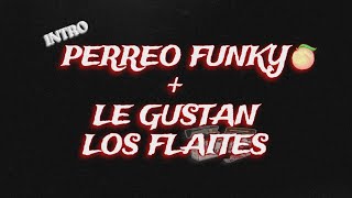 ⛔INTRO PERREO FUNKY  LE GUSTAN LOS FLAITES  REMIX  DJ D3NKU⛔ [upl. by Bremen]