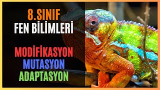 8SINIF  FEN BİLİMLERİ  MODİFİKASYON MUTASYON ADAPTASYON lgs [upl. by Nrevel]