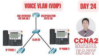 Voice VLAN VOIP IP Phone Configuration in Cisco CCNA 2 Day 24 [upl. by Nairdad]