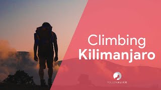 Climbing Kilimanjaro  Lemosho route  Follow Alice [upl. by Altheta]