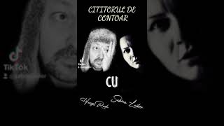 Cititorul de contoare [upl. by Mcspadden705]