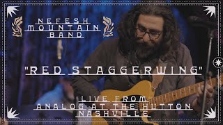 Red Staggerwing  Live In Nashville [upl. by Zenitram]