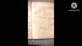 9th class physics practical no 11 amp 13 [upl. by Anais]