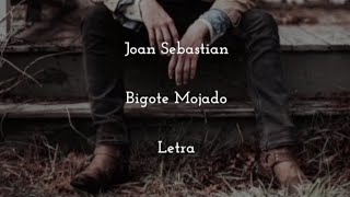 Joan Sebastian • Bigote Mojado • Letra [upl. by Ives]