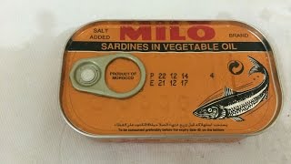 CANNED SARDINES FROM MOROCCO TASTE TEST [upl. by Ogden]