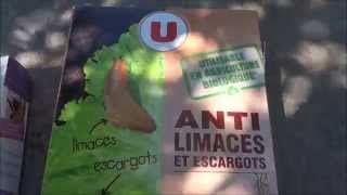 Les rongeurs aiment lanti limaces bio [upl. by Felisha]