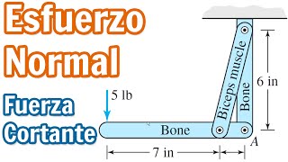 Esfuerzo Axial y Fuerza Cortante  Somos FI [upl. by Ytoc]