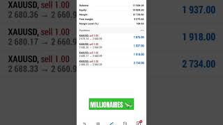 MILLINERY shortsfeed forex ytshort [upl. by Jeralee505]