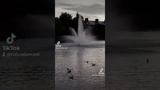 Blessington Street Basin Water dublin ireland shorts [upl. by Monahan555]