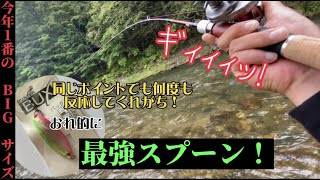 【本流】このスプーンを川底に叩いたり、転がしたり、跳ねさせると、今年1デカいサイズが食ってきた！！ [upl. by Eelyram]