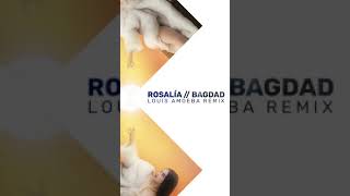 Rosalía  BAGDAD Louis Amoeba Remix [upl. by Yniffit]