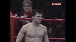 Dariusz Michalczewski vs Roberto Dominguez 1995 Full Fight Cała Walka [upl. by Miksen]