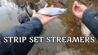 Practicing Strip Sets for Next Year Salmon [upl. by Countess]