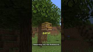 LA DIMENSIÓN DE LAS ABEJAS EN MINECRAFT [upl. by Nalla978]