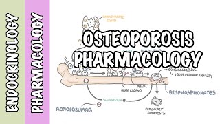 Osteoporosis pharmacology prevention and treatment bisphosphonates denosumab SERMs [upl. by Nylesoj]