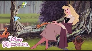 Śpiąca Królewna  Spotkanie z Księciem  Disney Księżniczki [upl. by Tanhya620]