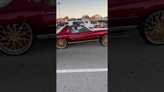 Clean whips reaction trending floridaclassic cleancars oldschoolcars oldschooltrucks [upl. by Supen]