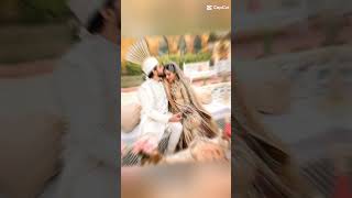 Saboor Ali wedding pics youtubeshorts Syedalaiba890 bollywood song [upl. by Podvin141]