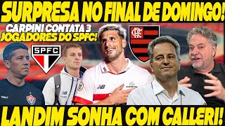 NEWS QUE MARCOU O DOMINGÃO LANDIM SONHA COM CALLERI NO FLAMENGO CARPINI CONTATA LOGO 3 DO SPFC [upl. by Schacker762]