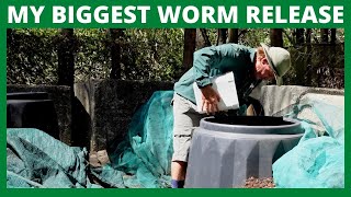 RELEASED Over 10000 Compost Worms Today [upl. by Dwinnell13]