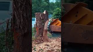 The machine shredded the tree into pieces treecutting wood [upl. by Eckhardt]