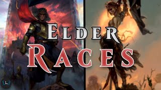 The Elder Races  Witcher Explained Part 4  Witcher Lore [upl. by Hocker691]