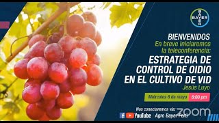 Teleconferencia Estrategia de control de oidio en el cultivo de vid  Agro Bayer Perú [upl. by Grannias]