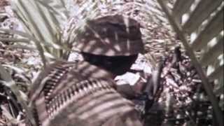 SEAL Team One May 291970 Vietnam full [upl. by Conte233]