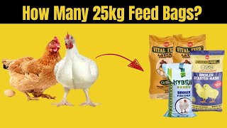 How Many 25kg Feed Bags for 100 Broilers and Layers [upl. by Marika]