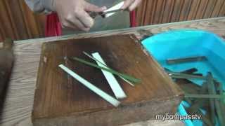 How To Make Papyrus Paper [upl. by Macy]