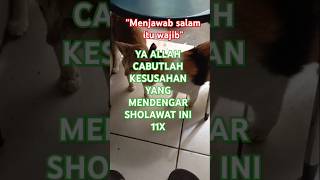 Ulangi 11x semoga semua hajat cepat dikabulkan sholawat cintarosul dzikir [upl. by Vogeley]