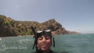 Best Places to Snorkel in San Diego [upl. by Lekram]