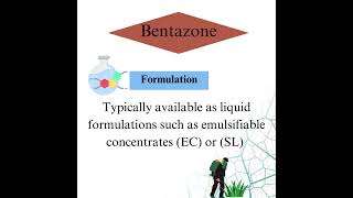 Bentazone herbicides weedremoval science biology weedcontrol [upl. by Corinne83]