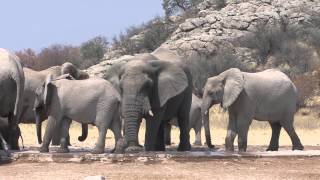 Crossing the Great White Place  Etosha [upl. by Sheryle]