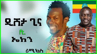 ዲሽታግና  Dishta Gina Remix With Akon Music Tariku Gankisi  Dishtagina ft Akon Ethiopian Music [upl. by Trace]