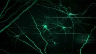 Transcendence 2014  Official Trailer HD [upl. by Danie]