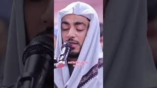 Last Verses Of Surah Mulk  Q67 V 2830  Qari Ibrahim Idris Ibiidris quran islam ibiidris [upl. by Fanchet]