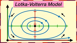 PredatorPrey Population Models  LotkaVolterra Equations [upl. by Adahsar]