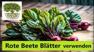 Rote Beete  Blätter zubereiten und essen Rote Rüben Blätter einfach und köstlich kochen [upl. by Tadeas]