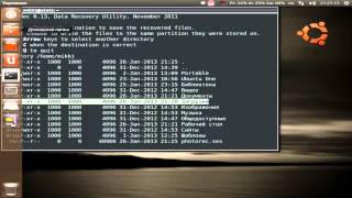 Ubuntu  восстановление удаленных файлов с флешки [upl. by Pia166]