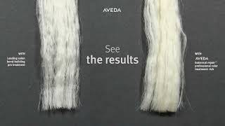 An Extreme Test Aveda vs a Leading Salon BondBuilding Pro Treatment [upl. by Haseefan888]