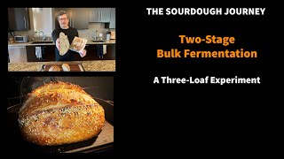 NEW Sourdough BREAKTHROUGH TwoStage Bulk Fermentation  For Busy People [upl. by Electra]