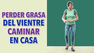 Haz Estos 30 Minutos de Cardio de Pie Para Perder Grasa del Vientre [upl. by Adnohser628]