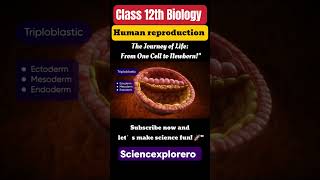 Human Reproduction Class 12th Biology chapter 3 ncert fully explained ncert sciencexplorero neet [upl. by Attey]