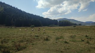 BOLU ABANTTA YAŞANMIŞ HAYATLAR YAYLA HAYATI [upl. by Lleddaw]