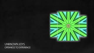 PREMIERE unknown joys  Openness to Experience Short Edit Progressive House 2024 [upl. by Trevar]